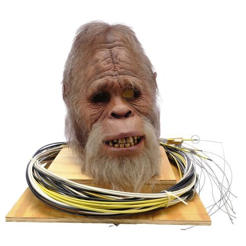 Lot #205 - Stunt Cable-Controlled Harry Mask ### HARRY AND THE HENDERSONS (1987)