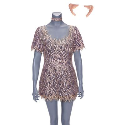 Lot #212 - Tinkerbell's (Julia Roberts) Tinkerbell Ears and Screen Test Costume ### HOOK (1991)