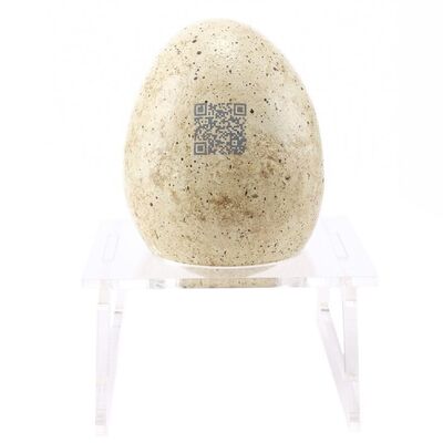 Lot #267 - Dinosaur Egg with QR Code ### JURASSIC WORLD: FALLEN KINGDOM (2018)