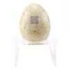 Lot #267 - Dinosaur Egg with QR Code ### JURASSIC WORLD: FALLEN KINGDOM (2018)