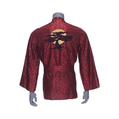Lot #269 - Daniel LaRusso's (Ralph Macchio) Screen-Matched Miyagi-Do Kimono ### KARATE KID PART II, THE (1986)
