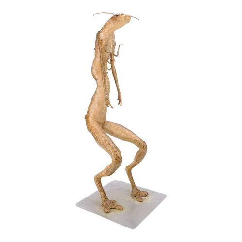 Lot #290 - Static Worm Guy Puppet ### MEN IN BLACK 3 (2012)