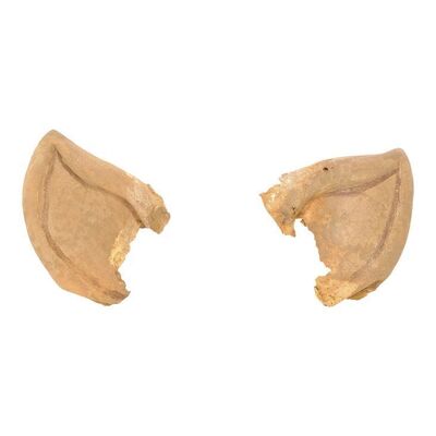 Lot #367 - Spock's (Leonard Nimoy) Vulcan Ear Tips ### STAR TREK: THE ORIGINAL SERIES (TV SERIES, 1966-1969)