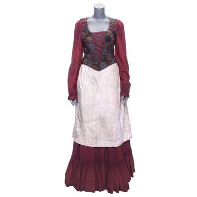 Lot #458 - Lamia's (Michelle Pfeiffer) Screen-Matched Innkeeper Costume ### STARDUST (2007)