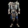 Lot #507 - Anduin Lothar's (Travis Fimmel) Distressed Troll Battle Armor ### WARCRAFT (2016)