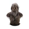 Lot #515 - Sir John Talbot (Anthony Hopkins) Wolfman Bust ### WOLFMAN, THE (2010)