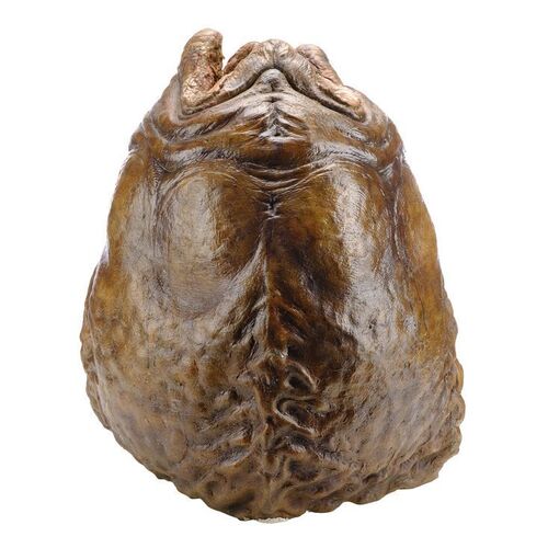Lot #547 - Static Xenomorph Egg ### ALIEN RESURRECTION (1997)