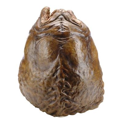Lot #547 - Static Xenomorph Egg ### ALIEN RESURRECTION (1997)