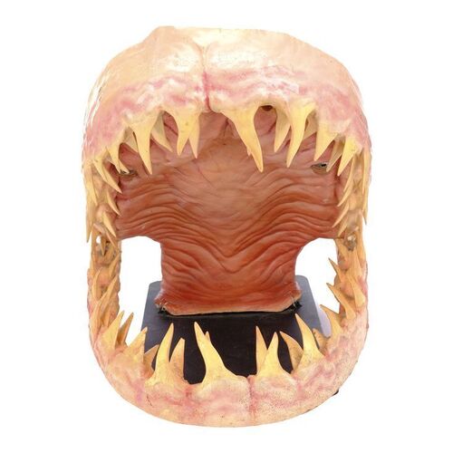 Lot #731 - Mako Shark Jaws Display ### DEEP BLUE SEA (1999)
