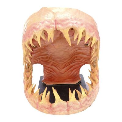 Lot #731 - Mako Shark Jaws Display ### DEEP BLUE SEA (1999)