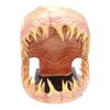 Lot #731 - Mako Shark Jaws Display ### DEEP BLUE SEA (1999)