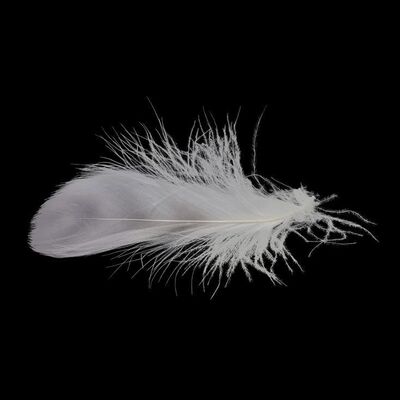 Lot #766 - Forrest Gump's (Tom Hanks) Feather ### FORREST GUMP (1994)