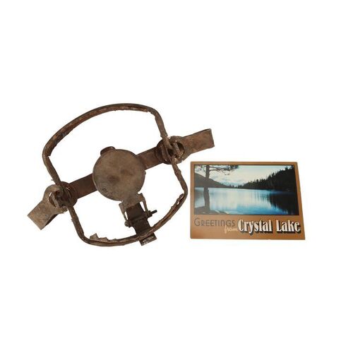 Lot #786 - Mario Kirner Collection: Bear Trap and Crystal Lake Postcard ### FRIDAY THE 13TH (2009)