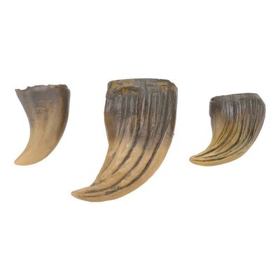 Lot #807 - Stuart Ziff Collection: Set of Three Terror Dog Claws ### GHOSTBUSTERS (1984)
