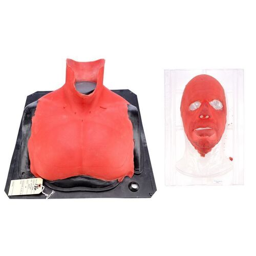 Lot #893 - Hellboy's (Ron Perlman) Neck and Chest Makeup Appliance ### HELLBOY (2004)