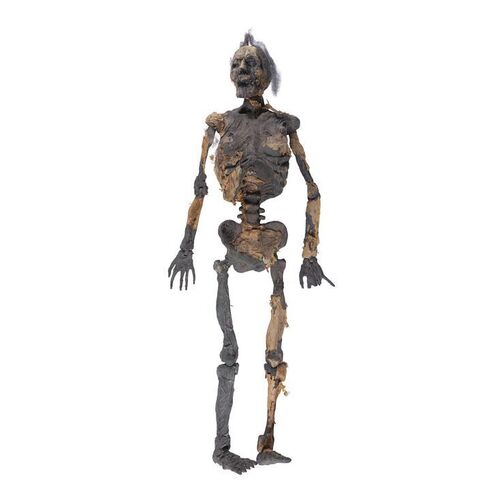 Lot #908 - Desiccated Corpse ### HOUSE OF 1000 CORPSES (2003)