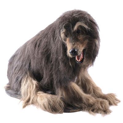 Lot #974 - Animatronic Buck the Dog ### MARRIED... WITH CHILDREN (1987-1997)