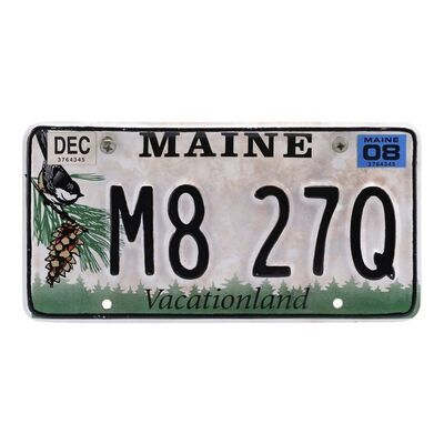 Lot #1021 - David Drayton's (Thomas Jane) Screen-Matched License Plate Display ### MIST, THE (2007)