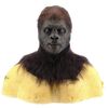 Lot #1113 - Man Hunt Ape (Chad Bannon) Make-Up Test Head ### PLANET OF THE APES (2001)