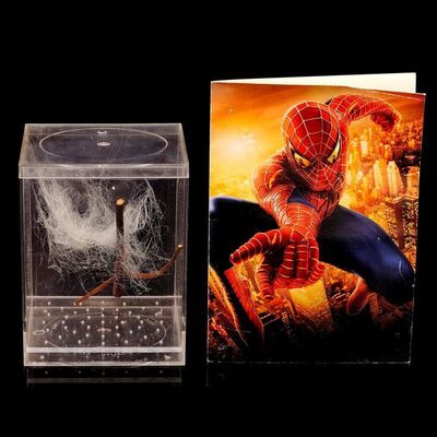 Lot #1185 - Spider Box Prop and Crew Screening Invitation ### SPIDER-MAN (2002) / SPIDER-MAN 2 (2004)