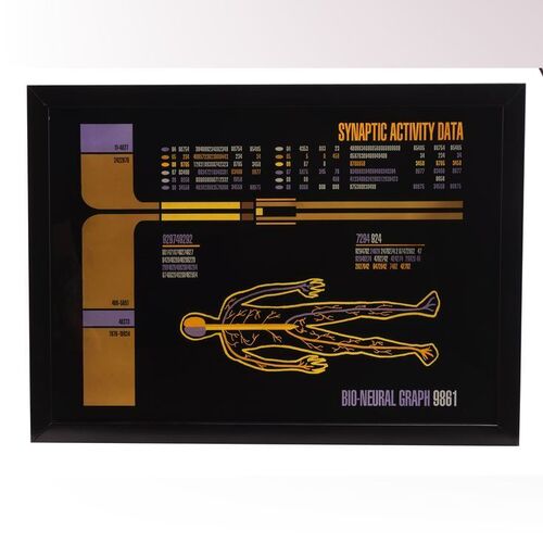 Lot #1238 - Framed Light-Up Medical LCARS Panel ### STAR TREK: THE NEXT GENERATION (TV SERIES, 1987-1994)