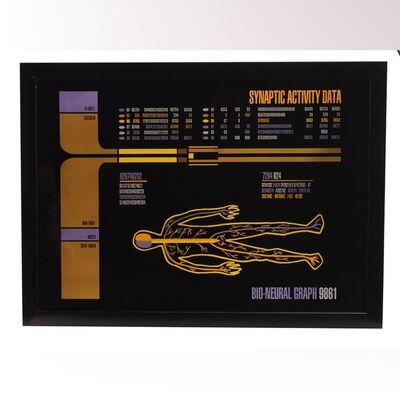 Lot #1238 - Framed Light-Up Medical LCARS Panel ### STAR TREK: THE NEXT GENERATION (TV SERIES, 1987-1994)