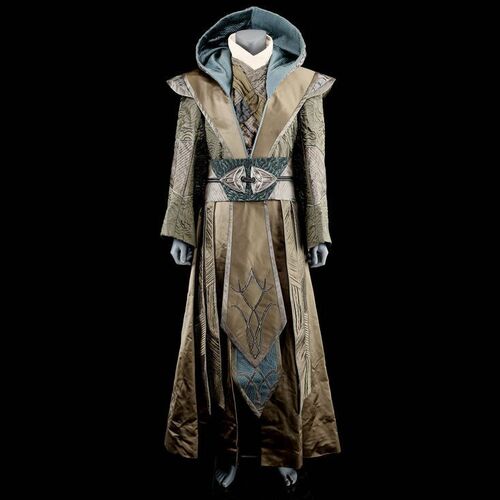 Lot #1467 - Khadgar's (Ben Schnetzer) Funeral Robe Costume ### WARCRAFT (2016)
