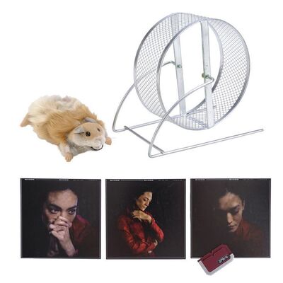 Lot # 24: Julie Mao's (Florence Faivre) Data Cube Hamster with Photos