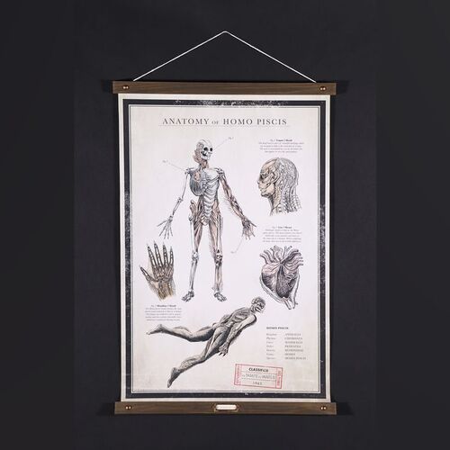 Lot #423 - THE SHAPE OF WATER (2017) - Special VIP Promotional Poster, 2017