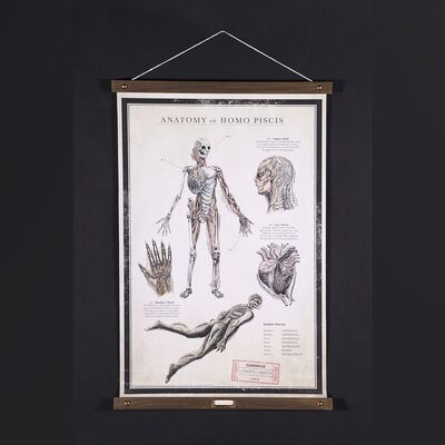 Lot #423 - THE SHAPE OF WATER (2017) - Special VIP Promotional Poster, 2017