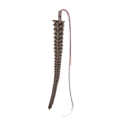 Lot #4: ALIENS (1986) - Animatronic Cable-controlled Xenomorph Tail