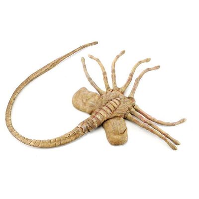 Lot #15: ALIENS (1986) - Stunt Facehugger