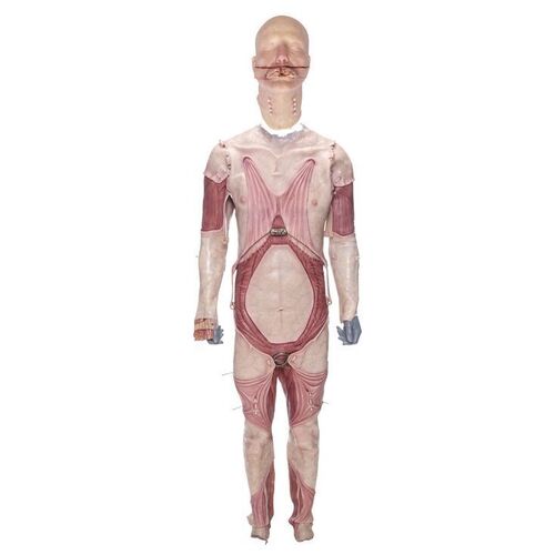Lot #186: HELLRAISER (2022) - Roland Voight's (Goran Visnjic) Bloodied Cenobite Prosthetic Costume