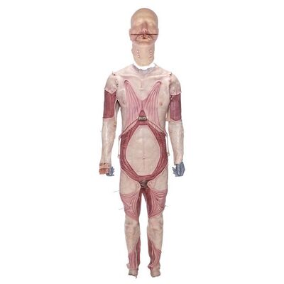 Lot #186: HELLRAISER (2022) - Roland Voight's (Goran Visnjic) Bloodied Cenobite Prosthetic Costume