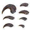 Lot #228: JURASSIC PARK (1993) - Set of Production-Made Velociraptor Hand and Foot Claws