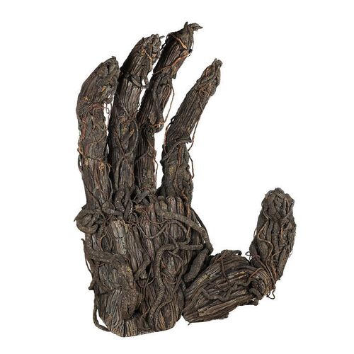 Lot #261: A MONSTER CALLS (2016) - The Monster's Full-size Articulated Hand