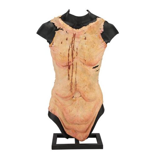 Lot #283: PAN'S LABYRINTH (2006) - The Pale Man's (Doug Jones) Screen-matched Torso