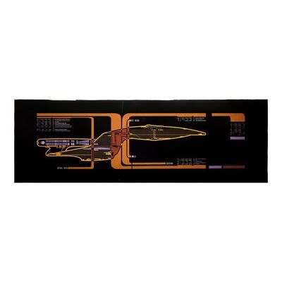 Lot #337: STAR TREK: THE NEXT GENERATION (T.V. SERIES, 1987-1994) - LCARS Panel with Enterprise Image from Data's (Brent Spiner) Quarters