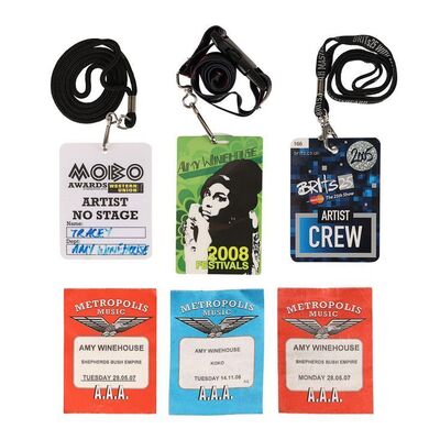 Lot #454: AMY WINEHOUSE - Collection of Backstage Passes