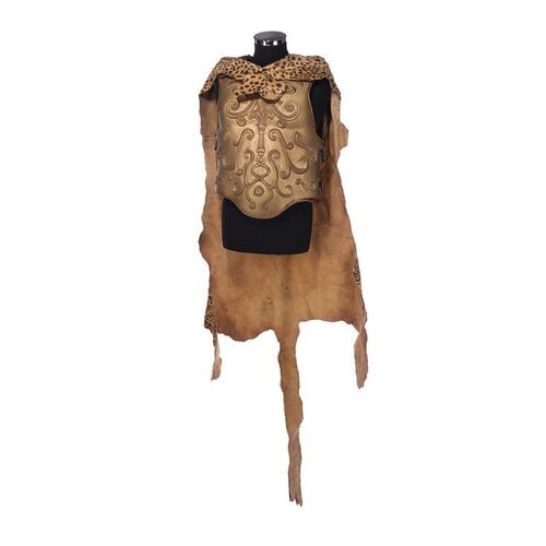Lot #1135: GLADIATOR (2000) - Chariot Driver Cuirass and Cape
