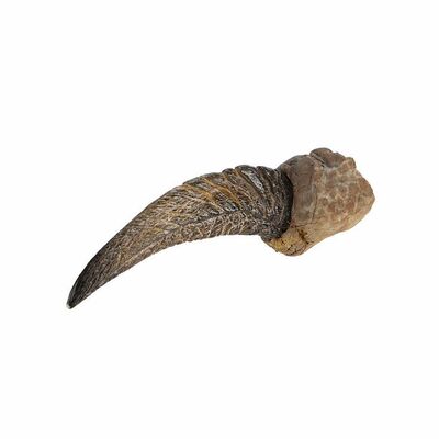 Lot #1322: JURASSIC PARK FRANCHISE (1993 - 2022) - Raptor Claw
