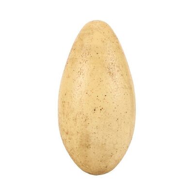 Lot #1324: JURASSIC PARK III (2001) - Raptor Egg