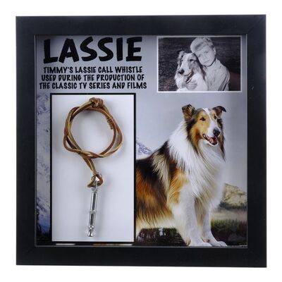 Lot #1355: LASSIE (1954-1974) TV SERIES - Timmy Martin's (Jon Provost) Call Whistle