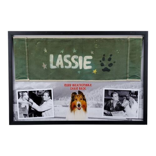 Lot #1357: LASSIE (1954-1974) - Rudd Weatherwax Chairback Display