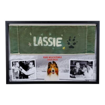 Lot #1357: LASSIE (1954-1974) - Rudd Weatherwax Chairback Display