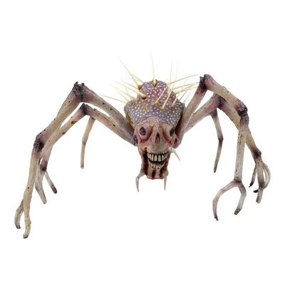 Lot #1423: THE MIST (2007) - Stand-in Gray Widower Spider