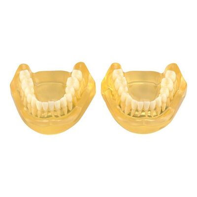 Lot #1431: MORTDECAI (2015) - Pair of Charlie Mortdecai's (Johnny Depp) Bottom Teeth Appliances
