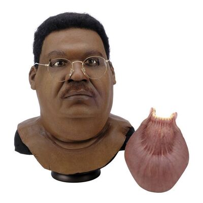 Lot #1446: THE NUTTY PROFESSOR (1996) - Sherman Klump's (Eddie Murphy) Mask, Teeth with Fat Lip and Replica Glasses