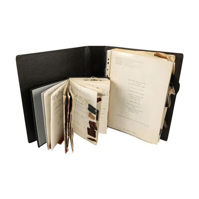 Lot #1479: THE PRINCESS BRIDE (1987) - Annotated Costume Script, Notebook, Storyboards and Swatches