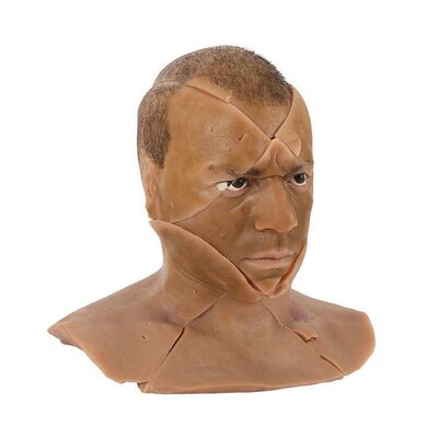 Lot #1493: RESIDENT EVIL (2002) - James "One" Shade (Colin Salmon) SFX Diced Head